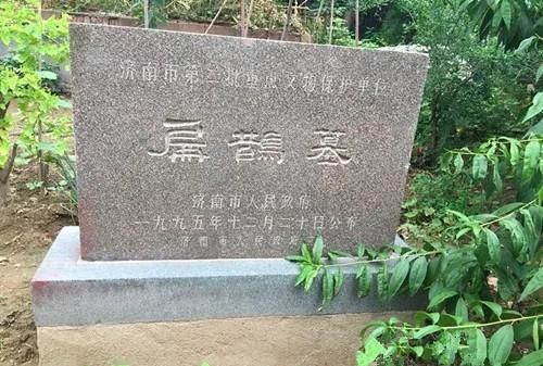望闻问切是谁发明的，望闻问切是古代名医（ ）发明的？图5