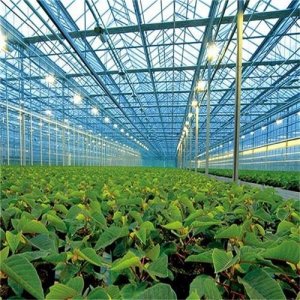 ​河南温室大棚骨架承建，河南温室大棚造价