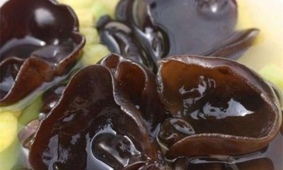 ​木耳泡久了还能吃吗，超市买的新鲜木耳用水泡着能保存几天？