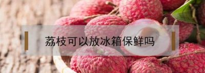 ​荔枝长途运输保鲜方法,荔枝长途运输如何保鲜