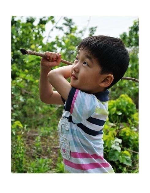桑葚可以直接泡水喝吗，枸杞子、玛卡、黑桑葚、红枣泡水喝怎么样？图6