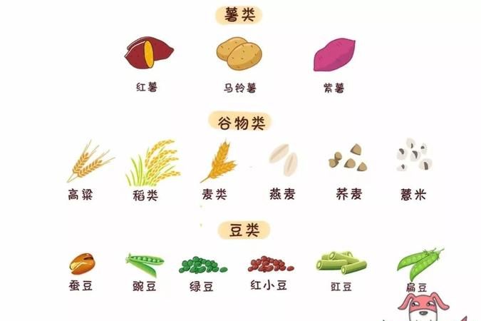 粗粮饭包括哪些食物