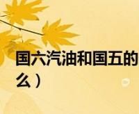 国五国六车有什么区别标志