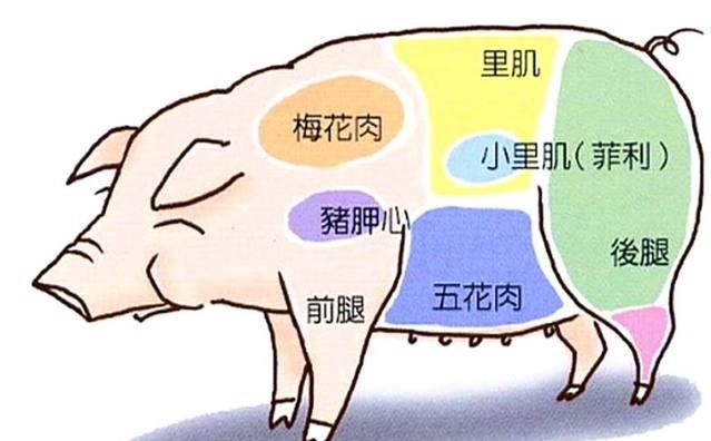 猪梅花肉怎么做好吃，梅花肉怎么做最好吃？图2