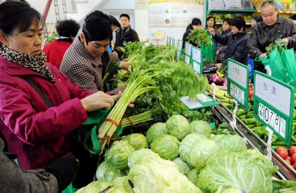 有机菜是什么菜,有机菜是什么菜?图5