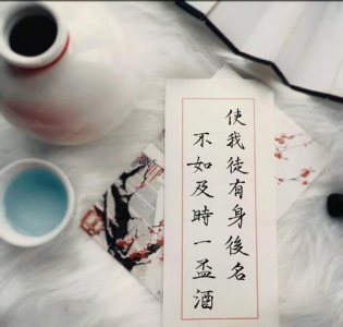 且乐生前一杯酒下一句,且乐生前一杯酒 何须身后千载名