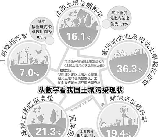 土壤污染的危害是什么?