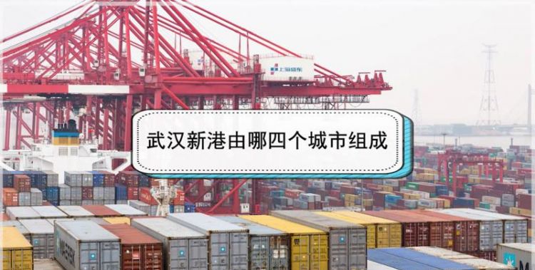 武汉市阳逻开发区的新港天地商铺如何，值得投资吗