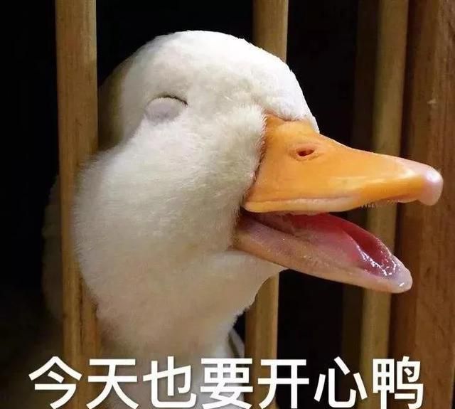 袋鼠可以通过尾巴干啥，袋鼠可以通过尾巴干什么？图5