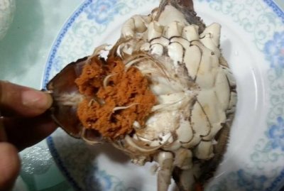 ​螃蟹流出来的黄东西是什么，螃蟹里面黄黄的东西是什么？
