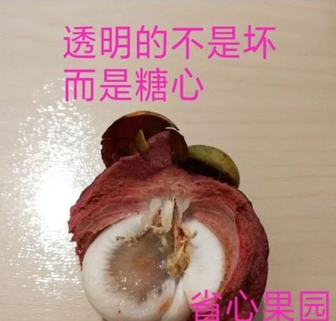 山竹外面的黄浆是什么东西