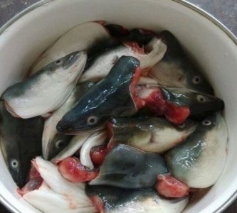​鳗鱼头能吃吗，美味可口的烧鳗鱼头怎么做好吃又简单，做？