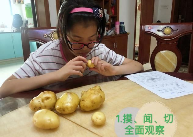 土豆的检验方法是什么