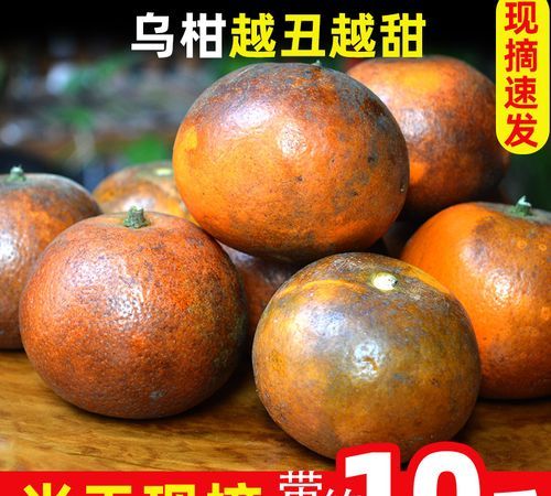 沃柑和乌柑哪个好吃