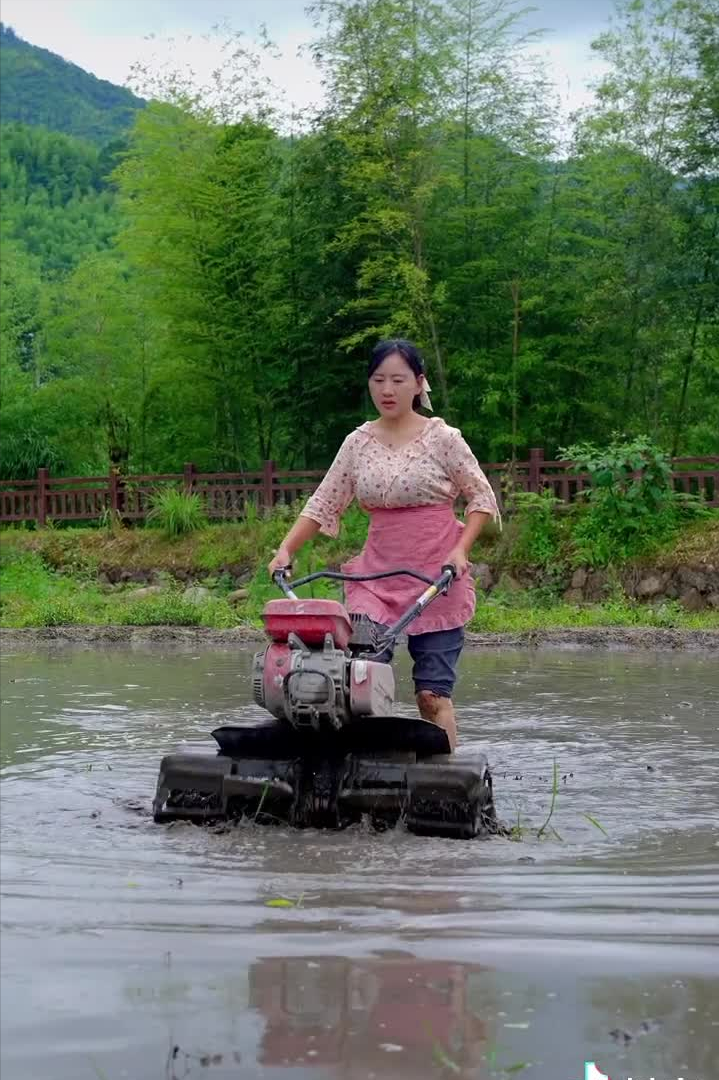 乡愁沈丹：从离异负债到带全村人致富，单亲妈妈如何完成蜕变？
