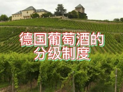 ​德国葡萄酒产量  德国葡萄酒种类