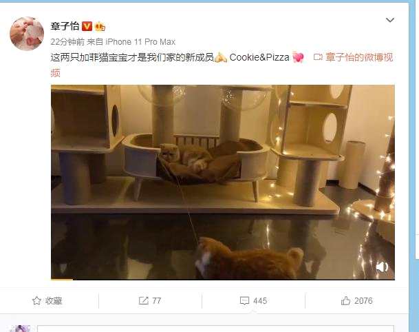 章子怡怀三胎真的吗 章子怡疑似否认怀孕