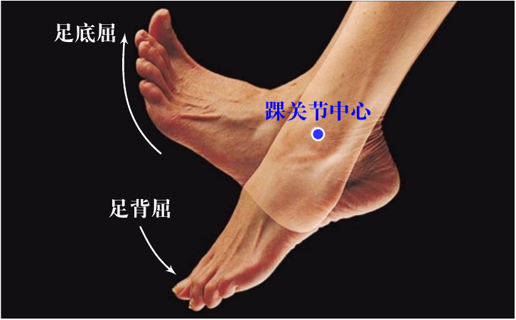 迈克尔·杰克逊 45 度前倾是怎么做到的？