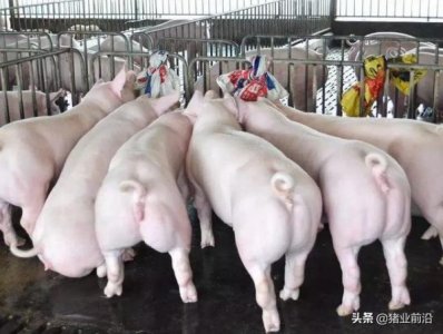​销售外购红薯白酒(外购白酒直接销售交消费税吗)