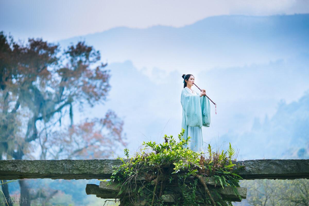 江山美人谋讲的什么(江山美人谋主要内容)