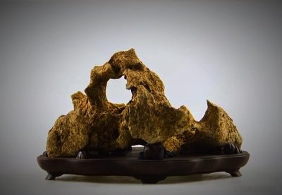​太湖石特点(太湖石的四个特点)