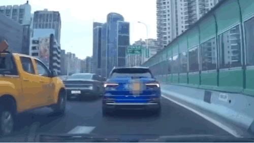 揭秘上海高架斗气车主可能涉及的罪名及其法律后果-