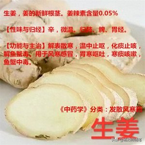 ​炮姜与干姜的区别(炮姜与干姜哪个更热)