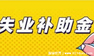 申请失业补助金后悔了,很难进大公司(根据个人情况选择申请)