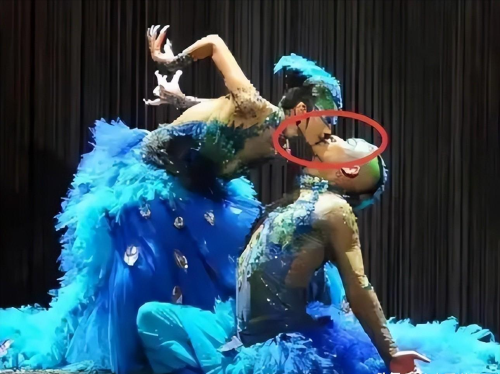 为艺献身当幌子,“一丝不挂”就上台,内娱的“流氓真相”谁来管