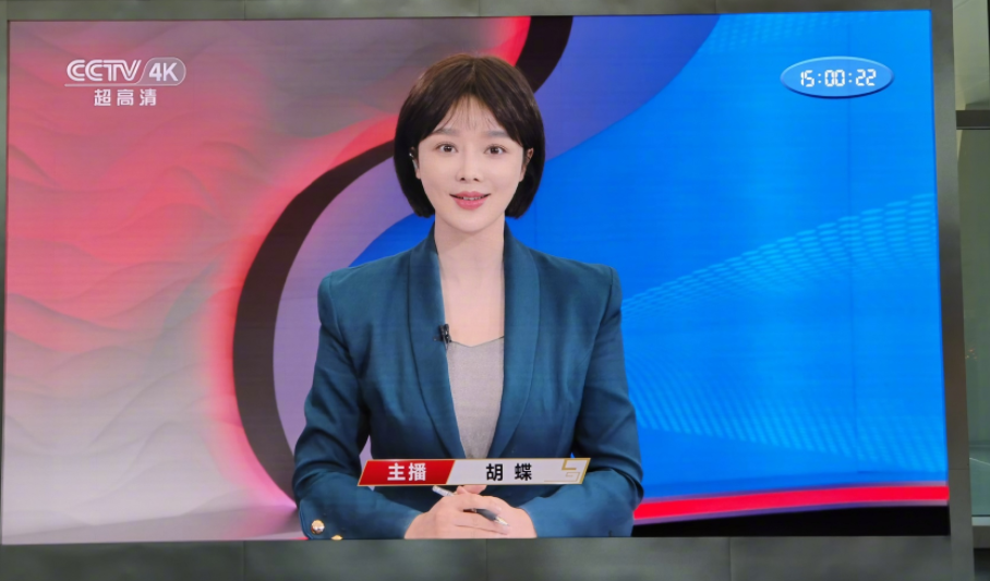 央视主播胡蝶:倒贴 50万与陆川闪婚,婚后分居生下一儿一女