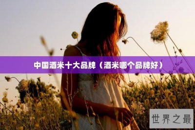 ​中国酒米十大品牌（酒米哪个品牌好）