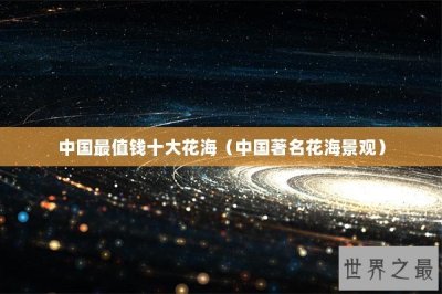 ​中国最值钱十大花海（中国著名花海景观）