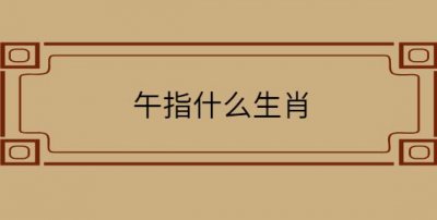 ​午年指的是什么年