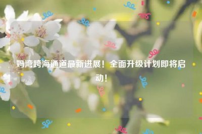 ​妈湾跨海通道最新进展！全面升级计划即将启动！