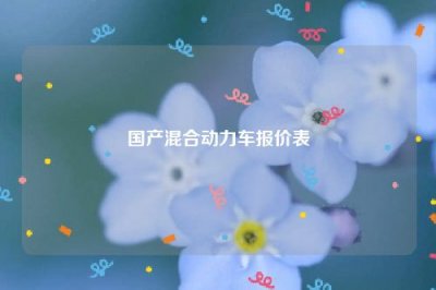 ​国产混合动力车报价表