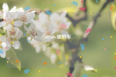 ​a0260w谁的车