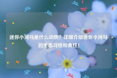 ​迷你小河马是什么动物？详细介绍迷你小河马的生态习性和食性！