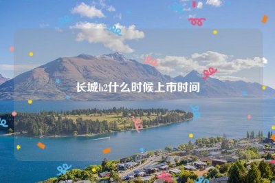 ​长城h2什么时候上市时间