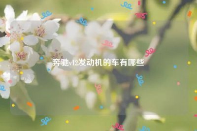 ​奔驰v12发动机的车有哪些
