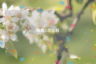 ​瑞鹰S5怎么样