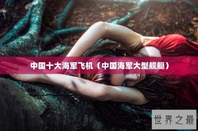 ​中国十大海军飞机（中国海军大型舰艇）