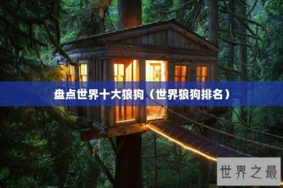 ​盘点世界十大狼狗（世界狼狗排名）