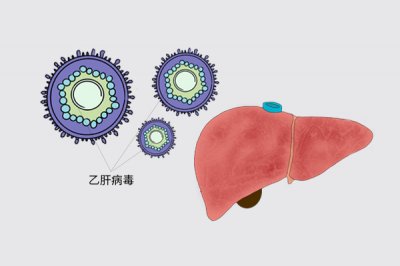 (乙肝小三阳是什么意思大小三阳,是啥意思?两者哪个更危险?大小三阳会不会