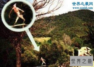 ​世界十大神秘怪兽，泽西恶魔令人心惊胆寒