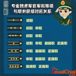 两杠三星是什么干部?两杠三星是什么级别?