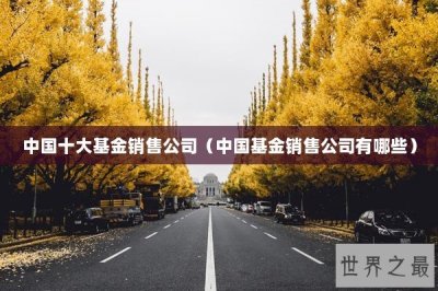 ​中国十大基金销售公司（中国基金销售公司有哪些）