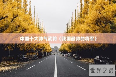 ​中国十大帅气武将（我国最帅的将军）