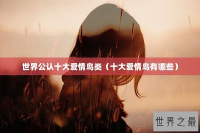 ​世界公认十大爱情鸟类（十大爱情鸟有哪些）
