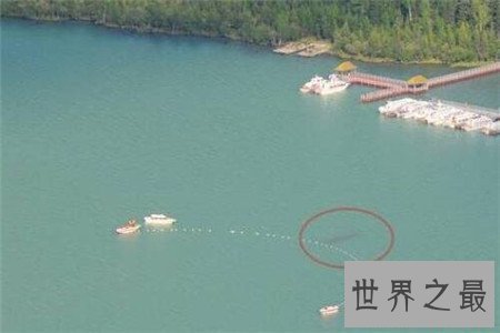 世界十大水怪排行榜，没想到最为凶残的竟然是它