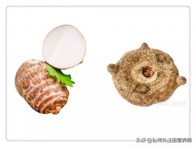 ​蒟蒻是什么东西（它就是蒟蒻）
